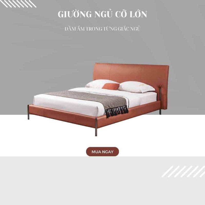 Mẫu phòng ăn hiện đại với tường sơn màu xám ghi, bàn ăn gỗ tự nhiên và ghế bọc nệm.